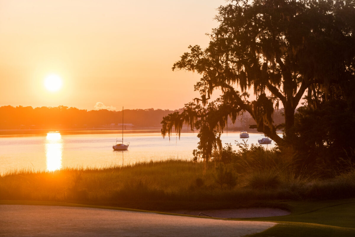 palmettob bluff activities