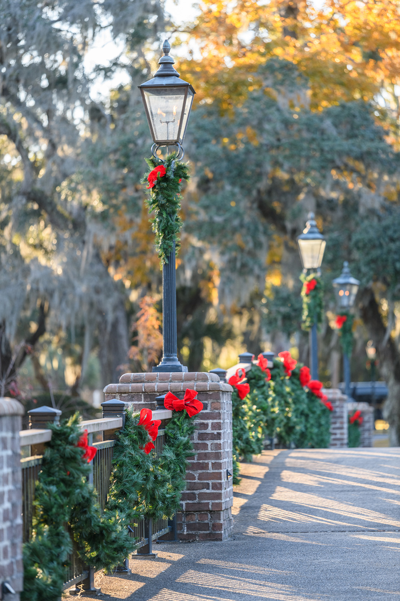 palmetto bluff events