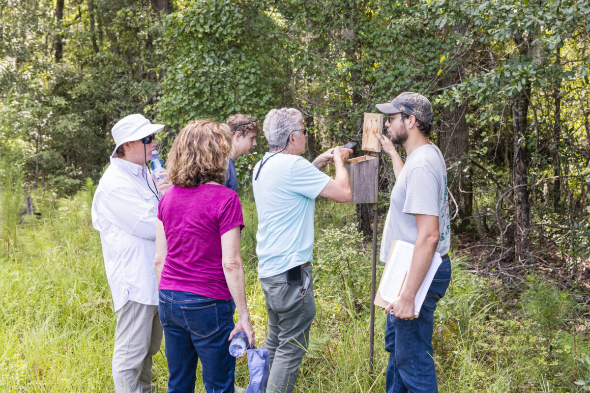 Palmetto Bluff activities